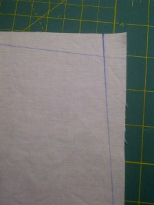 Urbana-20121208-00514