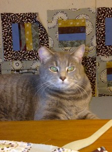 Urbana-20130121-00574