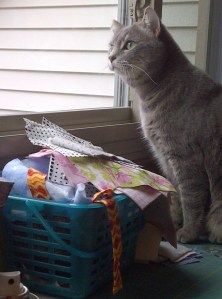 Urbana-20130224-00666