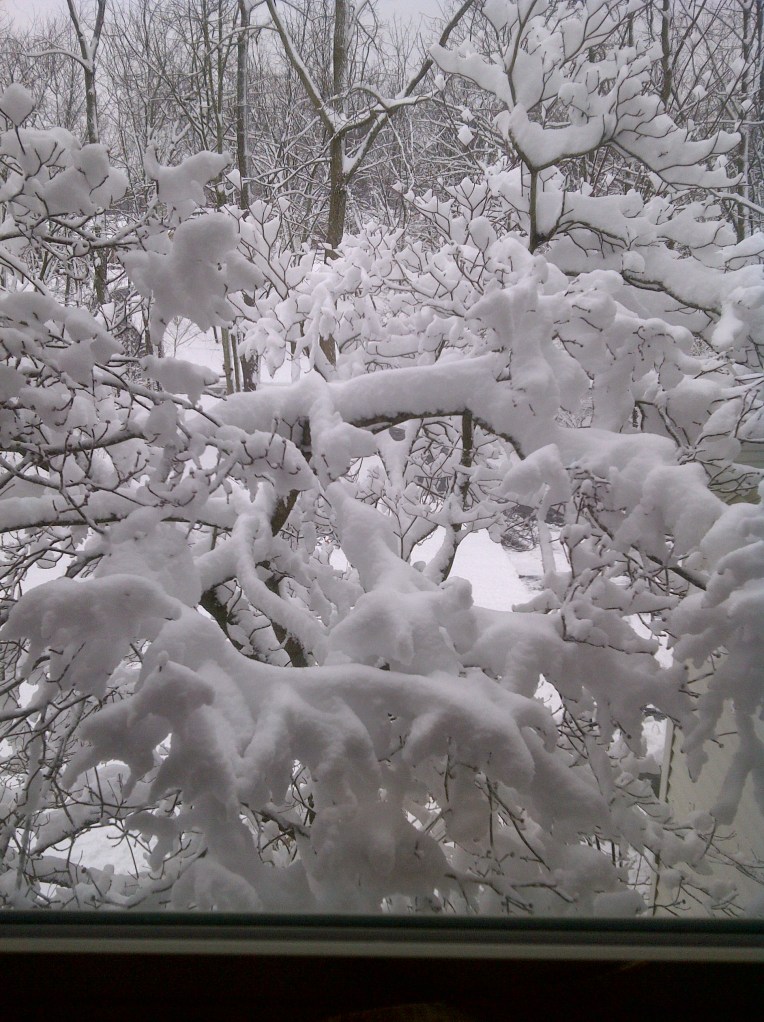 Urbana-20130306-00698