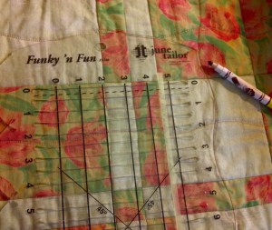 Urbana-20130613-00891