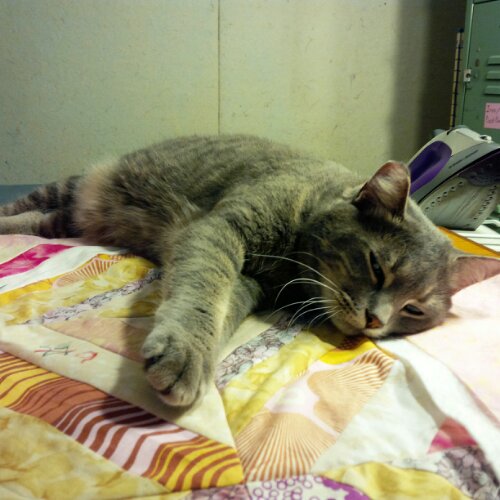 IMG_00000064_1.jpg image