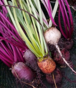 2014-06-22 12.59.22-1