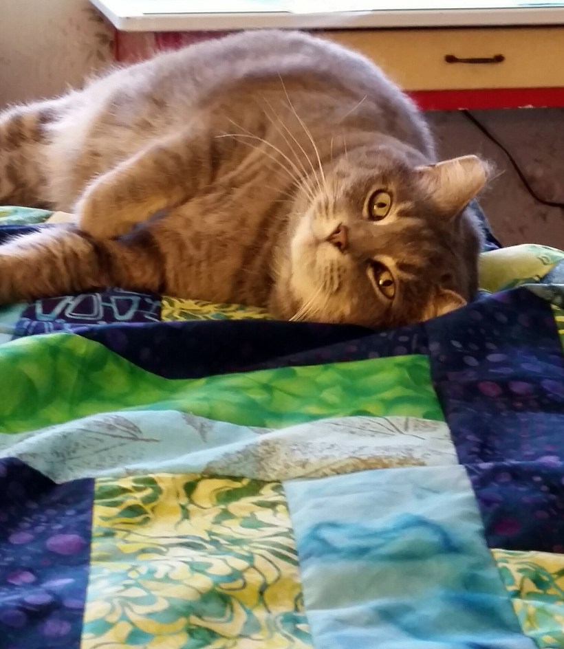 2016-02-21 10.36.18.jpg image