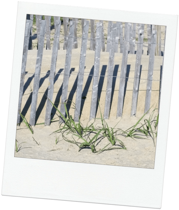 2016-05-25 08.22.47pol