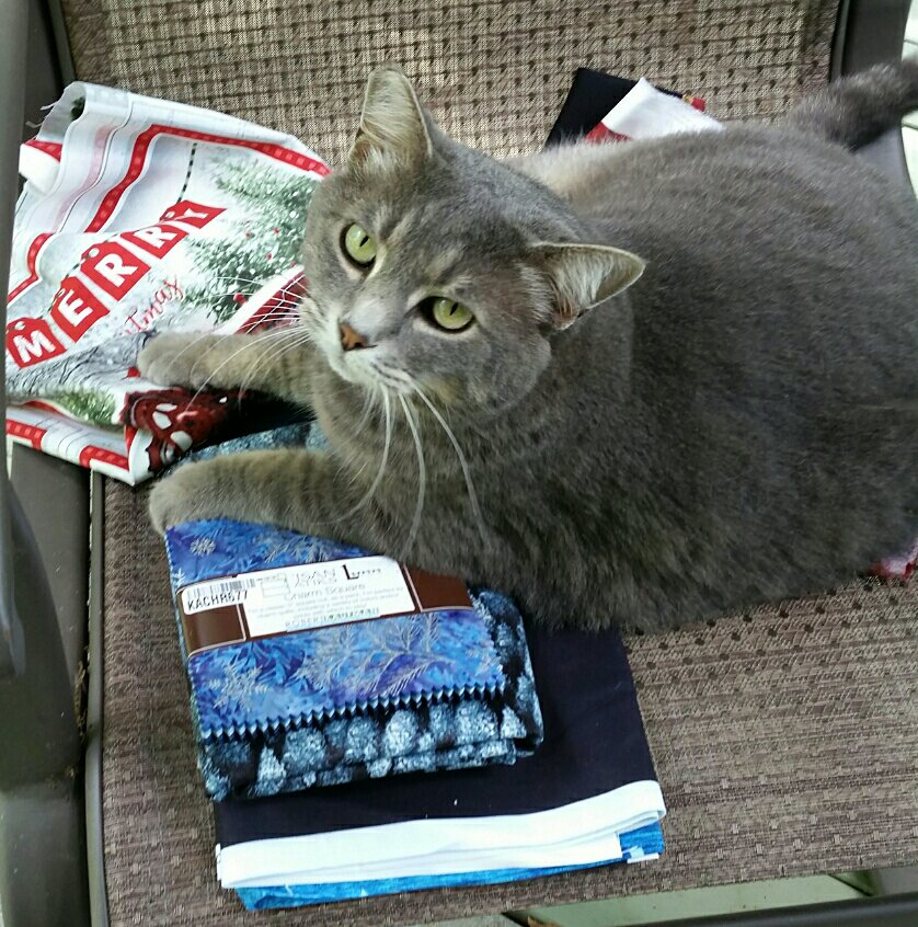 2018-06-29 12892255544..jpg