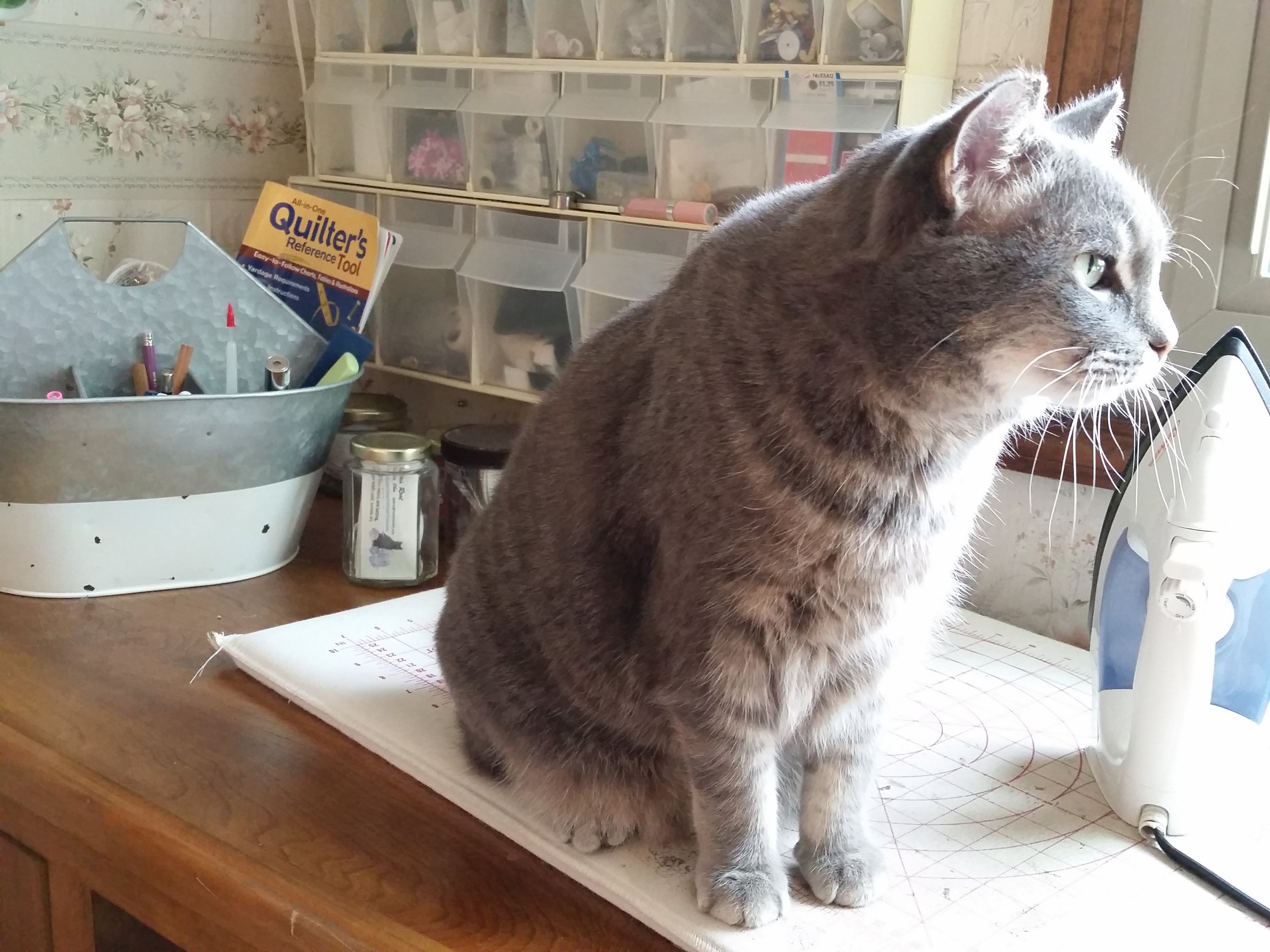 2018-11-08 112268123144311492286..jpg