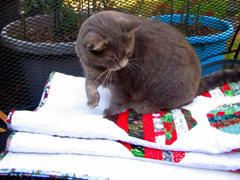 2019-10-18 1576460821137549659..jpg