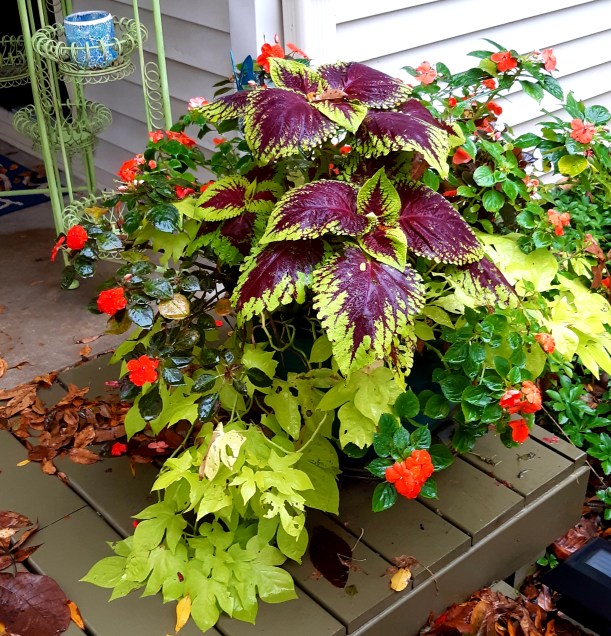 2019-10-31 12.29.58-2.jpg