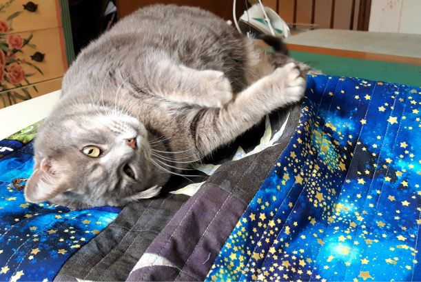 2020-05-12 15.50.33-1 (1)