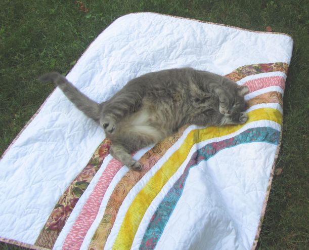 2020-07-19 14.02.18 (1)